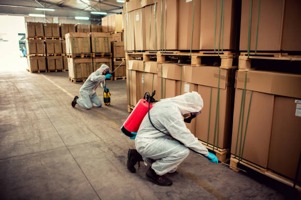 Pest Prevention Services in Abilene, KS