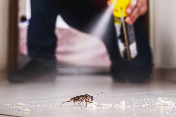 Best Termite Control Services  in Abilene, KS