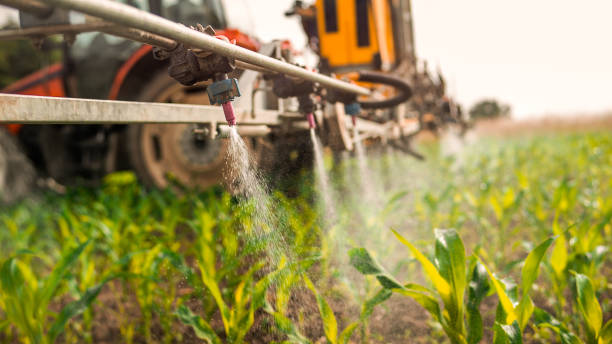 Pest Control Cost in Abilene, KS